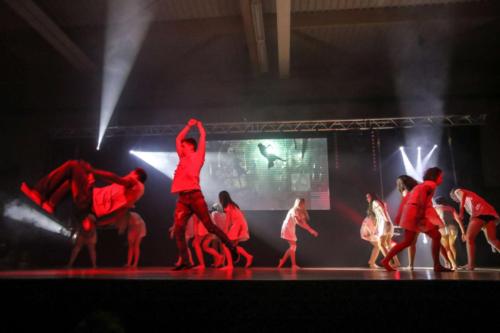 Spectacle ECB 2018 (222)