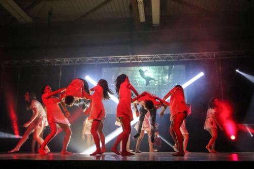 Spectacle ECB 2018 (224)